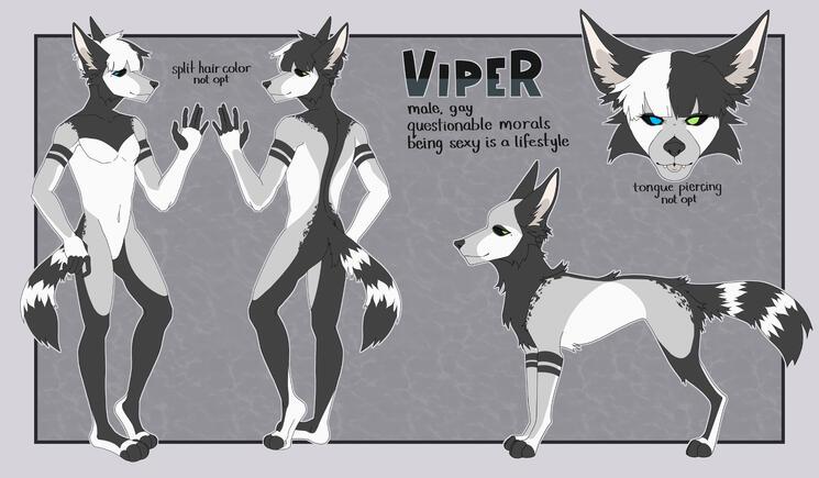 [ Viper ] kyotobombs